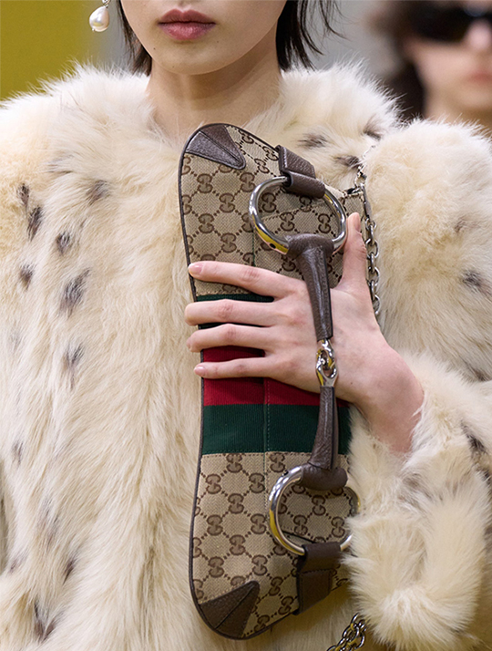 Christian Dior x Rebag